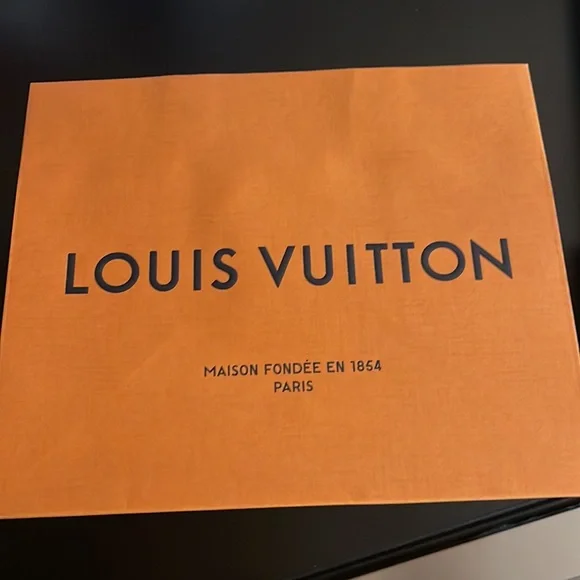 Authentic Louis Vuitton gift bag. New. See pictures for sizing. - Picture 6 of 9